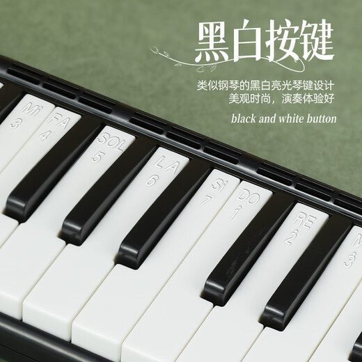 Romusic mouth organ, 37-key EVA hard-packed mouth organ for primary school students, children's beginner playing instrument, black