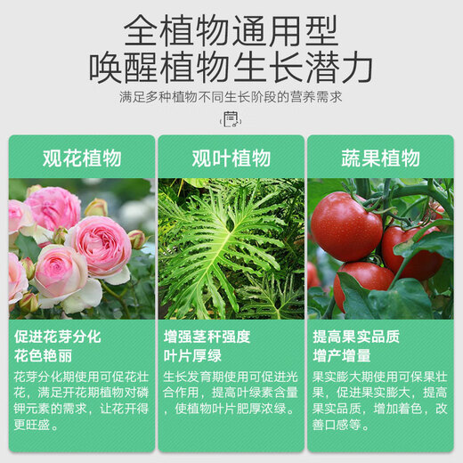 YWZR Potassium Dihydrogen Phosphate Flower Fertilizer Household Potassium Flower Planting Compound Fertilizer Green Plants Flower Potted Plants Universal Type Potassium Dihydrogen Phosphate 500g250g2