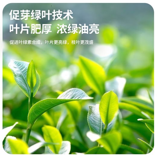 Stanley JD.com specializes in nutrient solution flower fertilizer for household potted plants universal hydroponic flowers and green plants 1L