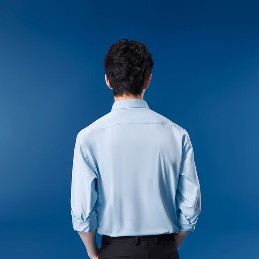HLA HaiLan Home Long Sleeve Shirt Men Business Clever and Neat Large Size Formal Shirt Men