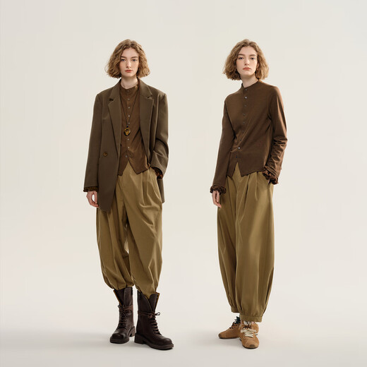 EIN言复古绵羊毛立领花边袖刺绣不规则文艺慵懒感长袖衬衫秋季款 咖色 S