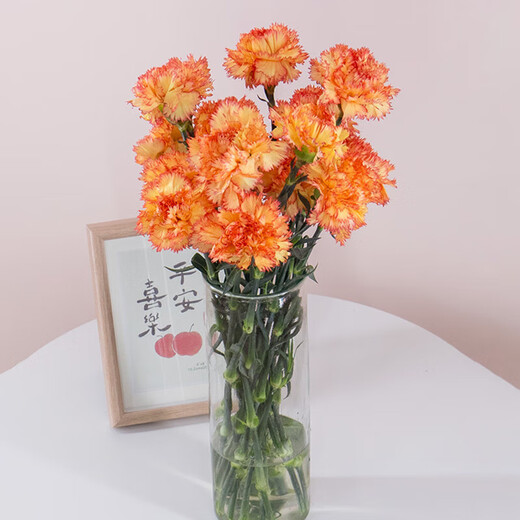 Carnation flowers holiday gift water-grown flowers for mom Yunnan flower base straight hair 10 random color carnations