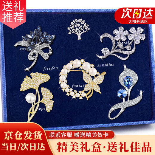 Ancient brooch, high-end women's exquisite niche corsage gift box, light luxury and elegant pin, silk scarf buckle, birthday gift for women, practical T505 temperament and noble brooch 5-piece set