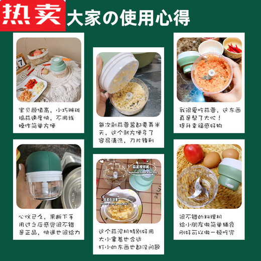 MZXM Japan imported quality household electric garlic beater garlic artifact small meat grinder garlic mincer garlic pounder cooking small electric garlic beater 200