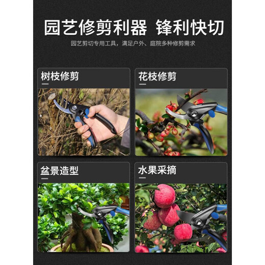 Dongcheng pruning scissors, garden flower pruning branch scissors, fruit tree scissors, thick flower scissors, gardening scissors tools, SK5 Teflon blade 8-inch pruning shears + hand saw