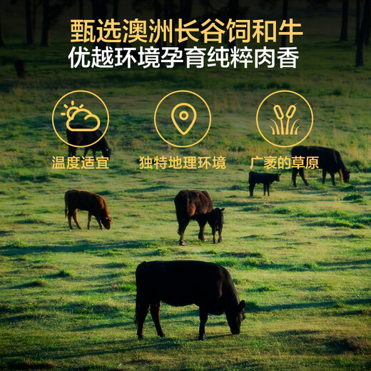 One s Member Australian Wagyu M6-7+ Beef Tendon 1kg Fresh Beef with Core Beef Tendon