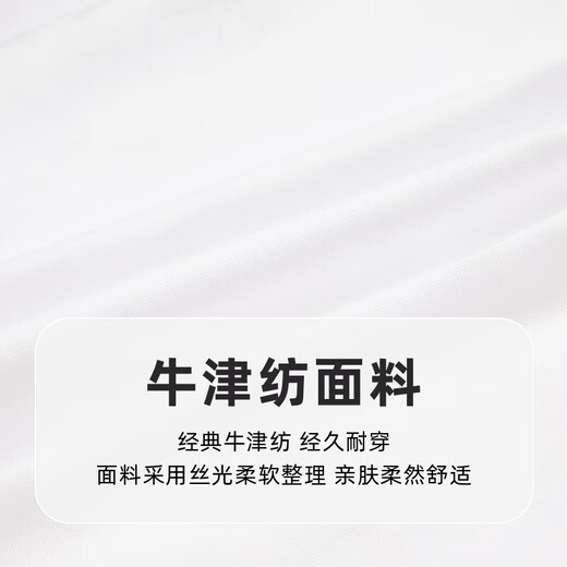 PawinPawD11 Moon Black PawinPaw Cartoon Bear Children's Clothing 2025 Autumn New Boys Long-Sleeved Lapel Shirt Simple Ivory Ivory/39 110