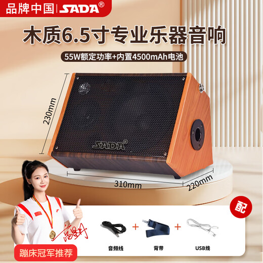 Saida guitar speaker Bluetooth musical instrument audio professional playing and singing outdoor Bluetooth portable street microphone karaoke performance live broadcast 6.5-inch wood color 55w power + 5400MA battery