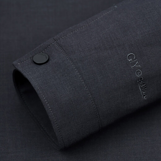 Goldlion GY Jacket Men's Autumn and Winter Warm Wool Top Lapel Jacket JWF0199-NK104 Gray M