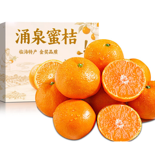 Uncle Sam's Authentic Linhai Yongquan Tangerine, Next Day Delivery to Many Places, Seedless Tangerine Orange Fruit Gift Box, Best Selling* Premium Fruit, Fruit Circumference 50-60mm, Super Sweet, Alpine Old Tree Fruit, 5 Jin Jin is equal to 0.5 kg, Gift Box, Carefully Selected by Farmers, Net 4.5