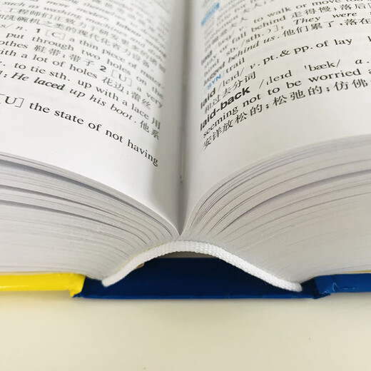 2025正版初中高中小学生实用英汉双解大词典高考大学汉英互译汉译英英语字典中小学专用新华牛津高阶大全 【热卖爆款】英汉双解词典