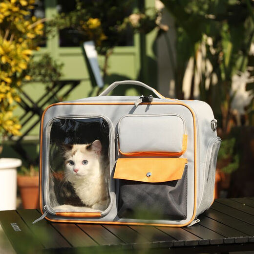 宠物外出包保暖猫咪狗狗可折叠便携单双肩手提拎斜跨肩背大手提袋 酷灰色