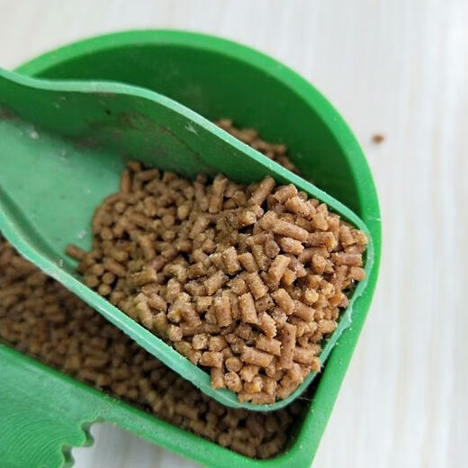 Special food for White-headed Bulbul, White-headed Bulbul tit, bird food, bird food, training snack, White-headed Bulbul bird food, 5 Jin Jin is equal to 0.5 kg