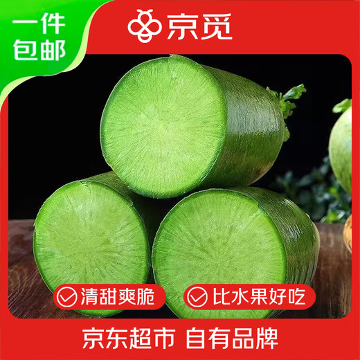 Jingmi Shandong Weifang fruit radish net weight 9Jin Jin is equal to 0.5kg, single fruit starting from 280g, green radish vegetable, straight from the source