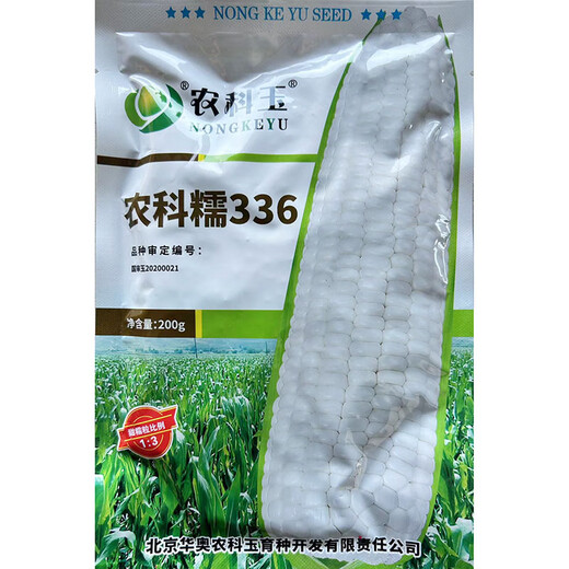 Nongke Nuo 336 Corn Seeds Tianjia Nuo National Appraisal Fresh Food Bao Gu Tian Nuo Grains 1:3 Huaao Seeds 200g/bag Nongke Nuo 336 Tianjia Nuo