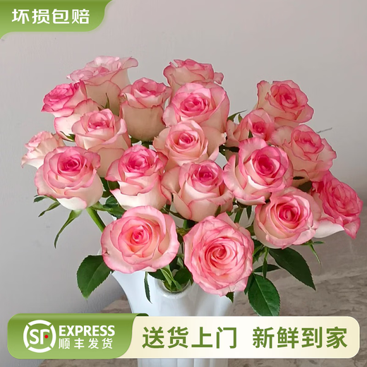 Yunnan flowers wholesale quality rose lily water-grown fresh cut flowers for your girlfriend's birthday gift straight from the source Aisha (Iron Head Princess) - 20 pieces, choose 2 pieces, no shipping fee