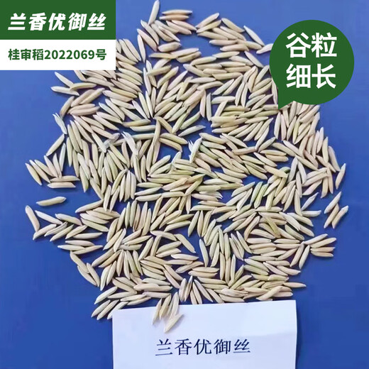 稻玉丰农业长粒米原厂包装兰香优御丝农用杂交水稻种子香型长粒香米 兰香优御丝水稻种子5袋（送水稻大礼包） 500g/袋