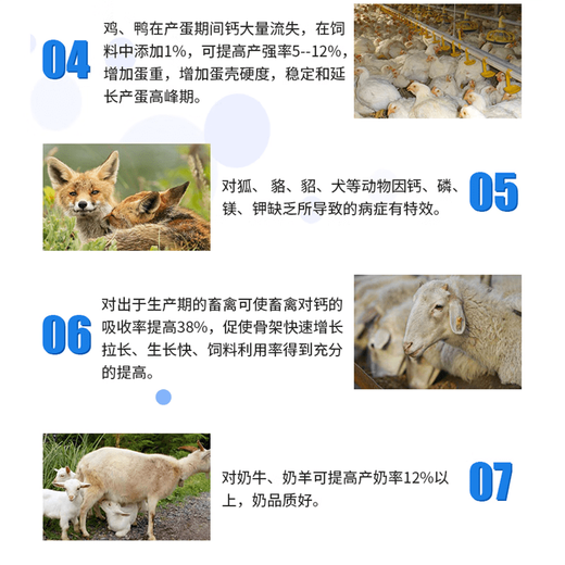 Calcium phosphorus 18 tonic quick supplement veterinary feed additive calcium lactate calcium hydrogen phosphate calcium phosphate calcium phosphorus osteoblastin Calcium phosphorus 18 tonic 500g/bag price