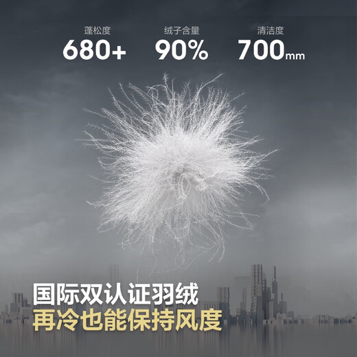 Bosideng 25 Years Winter Down Jacket Women's Loose Short Casual Thickened Hooded Round Neck Casual All-match Jacket