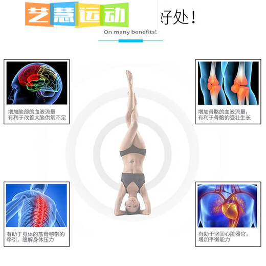 Miaopule Inversionsartefakt Haushaltsinversionsgerät Dehnungsinversion Hilfs-Yoga Indoor-Fitnessgerät Inversionsmaschine gelb/schwarz grundlegender Sicherheitsgurt Nicht-Hauptbild