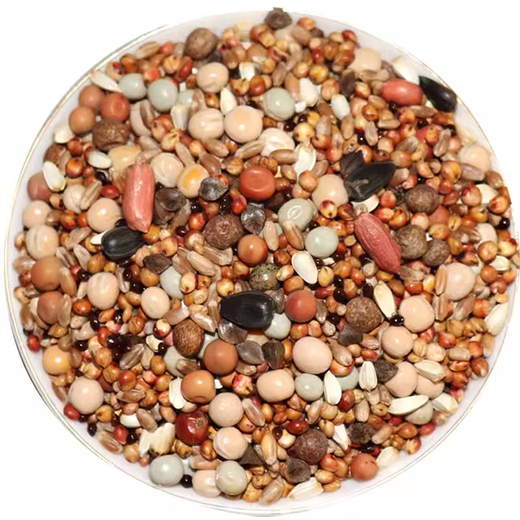 Other horticultural high-quality nutritious pigeon food, meat pigeons, ornamental pigeons, homing pigeons, racing pigeons, Yuanbao pigeons, young pigeon feed, breeding pigeons, pigeon food with corn 20 Jin Jin equals 0.5 kg