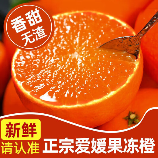 粤迎四川爱媛38号果冻橙柑橘新鲜采摘橙子水果柑橘当季应季橙子手剥橙 5斤优选装【单果70mm+】净4.5斤