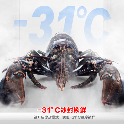 Rongsheng 547L side-by-side refrigerator large capacity ultra-thin first-level energy efficiency air-cooled frost-free dual frequency conversion energy-saving odor-free double-door trade-in BCD-547WD12HP national subsidy