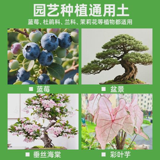 Peat soil K brand 6 German imported peat soil Pinshi peat orchid flowers and green plants potted general purpose 10Jin Jin is equal to 0.5 kg K brand 614 pure granular massive peat soil