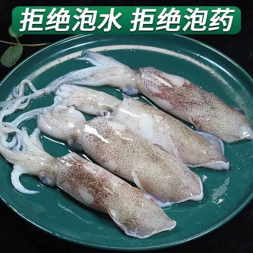 Wild fresh sea-caught quick-frozen fish, Aplysia squid roe, direct delivery from Lianyungang, fresh sea-caught fish 500g*5 packs 5 Jin Jin equals 0.5 kg