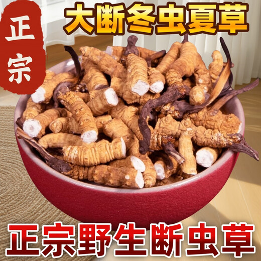 【支持质检】10克大断草正宗冬虫夏草断草虫草断草自食滋补正品 虫草大断虫草 30克装送三克发33克