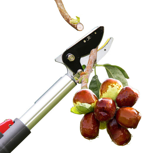 Ai style telescopic fruit picker high altitude fruit picking high branch scissors saw picking loquat artifact high altitude pruning lychee pruning branch shears upgraded version ((2.1m-5.2m) three section fruit picking