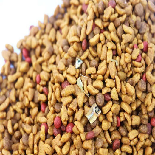 OIMG Bang Chi 500g Deep Sea Fish Plus Cat Food Designed for Picky Cats Cat Food Bang Chi Cat Food Sea Fish Beef Flavor 24 Packs