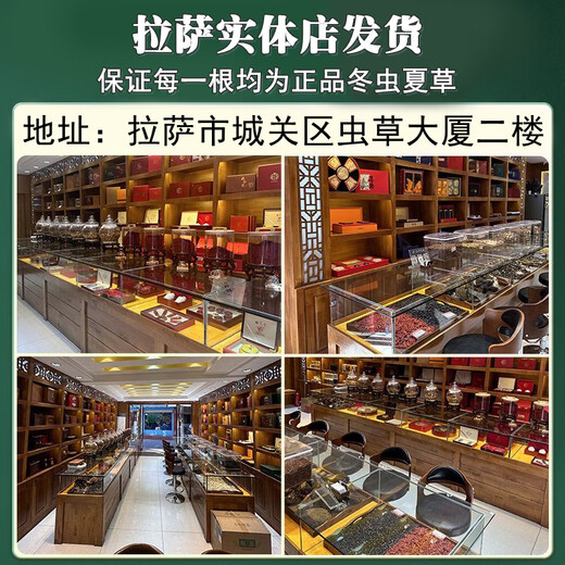 Zangyou genuine high-altitude Cordyceps sinensis gift box tonic cordyceps high-end gifts for parents and elders in the new year crystal tube thin branch 4 pieces/g-30 pieces gift recommendation