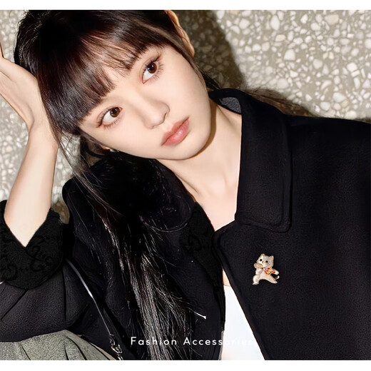 Xinshe Cartoon Cute Cat Brooch Women's Design Niche Coat Pin Fashionable High-End Exquisite Luxurious Temperament Accessory Struggle Kitten Brooch (3.4*3cm)