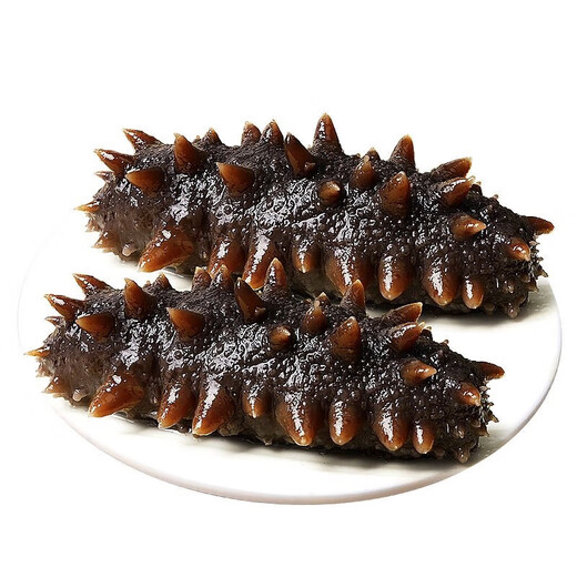 Factory direct sales of authentic wild sea cucumbers and sea cucumbers without ice, fresh deep sea sea cucumbers, high quality sea cucumbers wholesale, 20 extra large king sea cucumbers, net weight 1kg, no ice, vacuum individually packaged