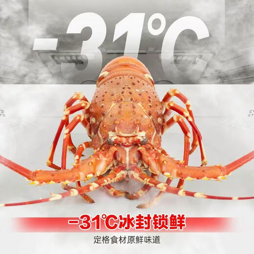 容声（Ronshen）等级机|容声507L法式平嵌零嵌入双系统双循环IDP主动除菌净化冰箱BCD-507E30FZLAD 几乎无瑕