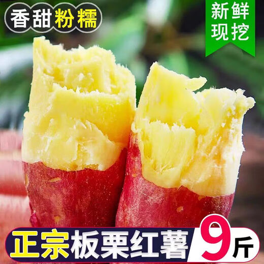 Authentic Shaanxi Chestnut Sweet Potato Fresh Sand Sweet Potato Really Cheap Breakfast Supermarket Live Room JD.com Chestnut Sweet Potato 2Jin Jin equals 0.5kg, including box of small and medium-sized fruits (single pair 1 tael-4 taels)