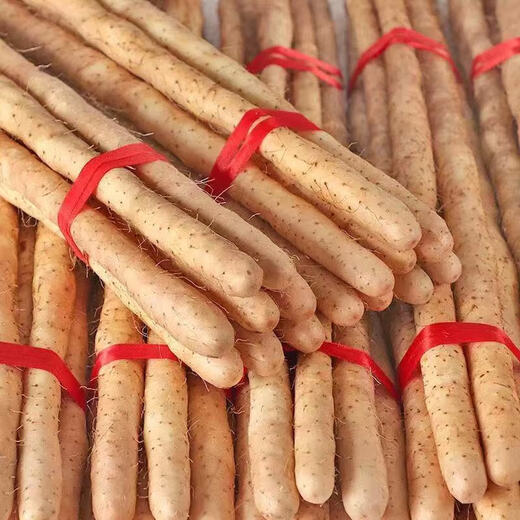 Fresh Xiaobaizui yam iron stick yam soft glutinous sweet iron yam sesame yam Huai yam Xiaobaizui 1Jin Jin is equal to 0.5kg 15-30cm