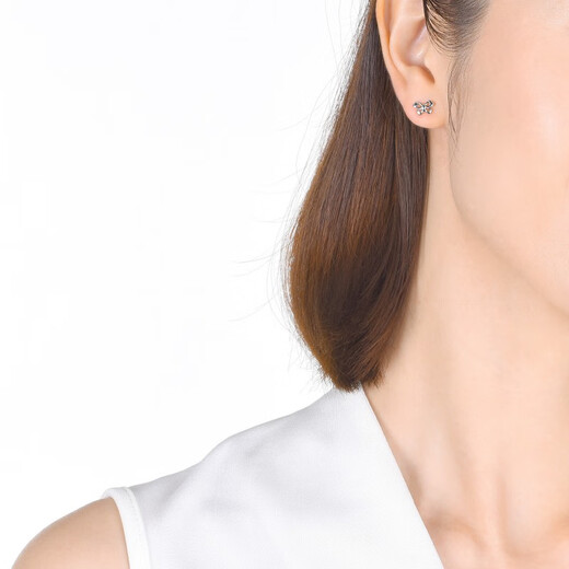 Chow Sang Sang Pt950 Platinum Butterfly White Gold Platinum Earrings Earrings Earrings Women 33197E Pricing