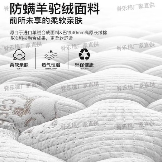 MATTENTS SIMMONS MÉTONNEMENT MATTRAL SPRIPLE SOUPE SOFF SPRING ÉPÉPLISSAGE 20 cm Matelas de location de coco à coco