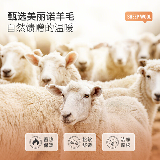 MONTAGUT men's cotton-padded coat in winter, sheep wool warm and soft, comfortable, simple and versatile, stand-up collar cotton coat, navy 2XL