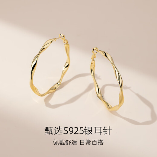 Qlady Mobius gold silver needle earrings women's plain hoop earrings 2025 new light luxury niche high-end earrings earrings