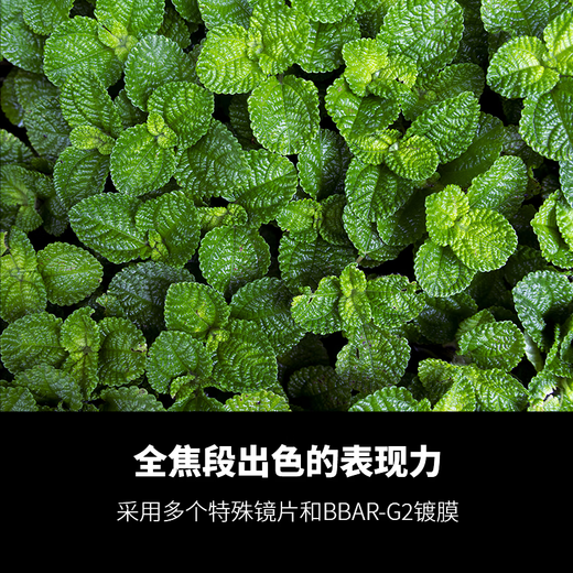 Tamron B061R 18-300mm F/3.5-6.3 Di III-A VC VXD anti-shake telephoto large zoom mirrorless travel Canon RF port