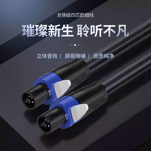 MICGRS audio speaker special connection cable. Fever HIFI grade pure copper audio speaker cable. Equipped with audio head amplifier connection. Shielded and anti-interference. Low loss. 2.5 square meters thick. Speaker cable 20 meters (shielded 2 cores*2.5 square meters).