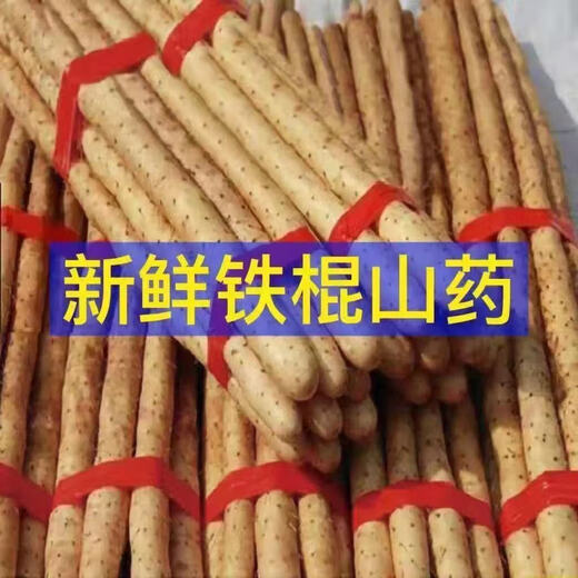 Fresh Xiaobaizui yam iron stick yam soft glutinous sweet iron yam sesame yam Huai yam Xiaobaizui 1Jin Jin is equal to 0.5kg 15-30cm