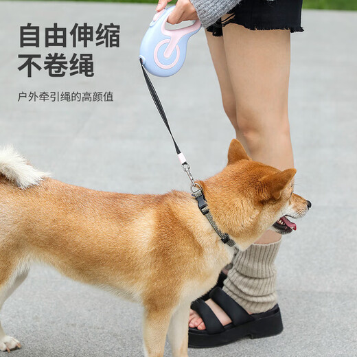 Automatic Dog Leash Retractable Dog Walking Night Reflective Leash Teddy Dog Chain Collar for Medium, Large and Small Dogs Black - (Exquisitely Packaged) 5M Long Rope One-click Brake without Rope Jam