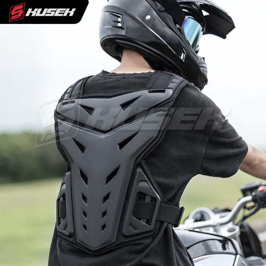 Zailu Motorcycle Off-road Armor, Chest Protector, Vest, Anti-fall Protective Gear, Mountain Bike Cycling Suit, Motorcycle Full Set, Black Armor, Anti-fall/Chest Protector/Back Protector, One Size