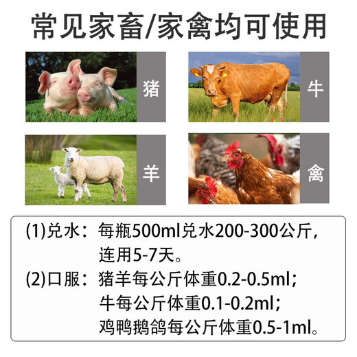 Fast Retailing New Shuanghuanglian Solution Veterinary Feed Additive for Pigs, Cattle, Sheep, Chickens, Ducks, Goose, Pigeons, Cold, Fever, Cough, Respiratory Diseases, 1 Bottle, 500ml, General Purpose for Poultry and Livestock #No Gift