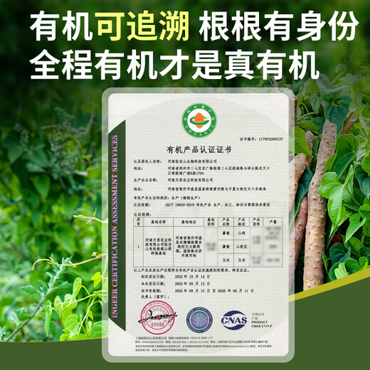 Zhang Baoshan Henan Jiaozuo organic iron bar yam net weight 3 Jin Jin is equal to 0.5 kg, straight from the source