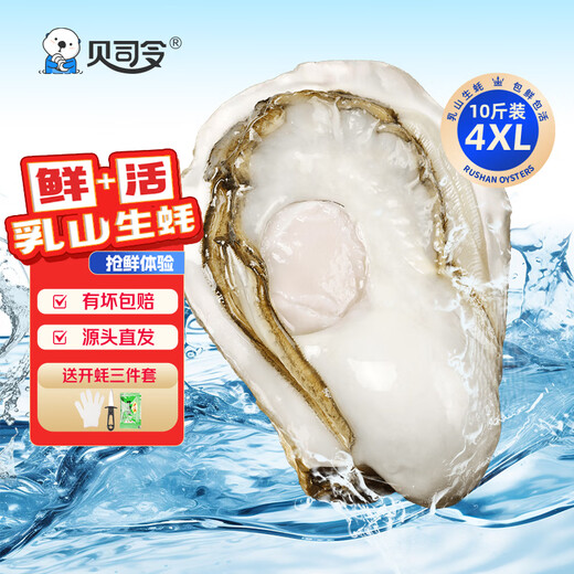 Bassling Fresh Rushan Oysters 4XL Net Weight 10Jin Jin is equal to 0.5kg 20-26 pieces Straight from the source